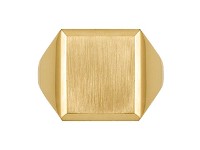 Signet Rings -  Die Struck, 8023B